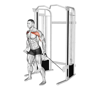 Cable Standing Alternate Low Fly