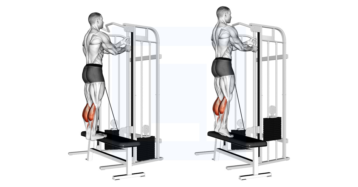 Dumbbell Standing Calf Raise Guide Benefits And Form
