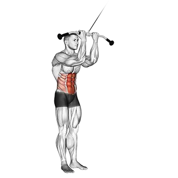Best Standing Ab Workouts Cable Standing Crunch
