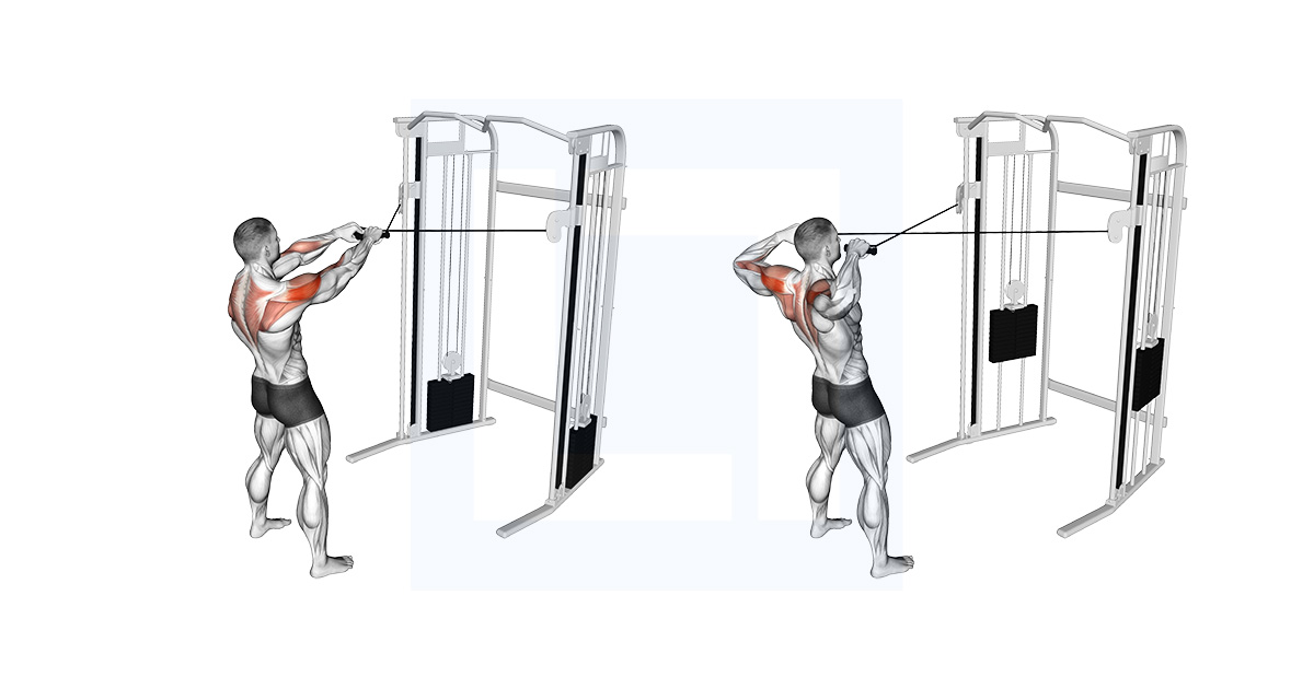 Cable Face Pulls