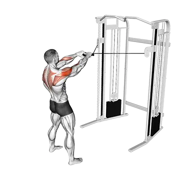 Best Bro Split Workout Cable Standing Face Pull