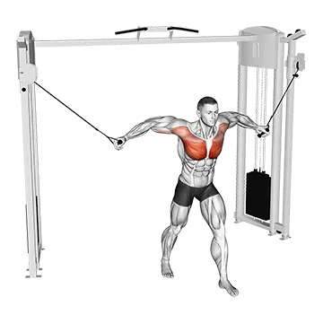 How To Build A Bigger Chest Cable Standing Fly