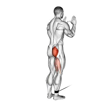 Best Cable Hamstring Workouts Cable Standing Hip Extension
