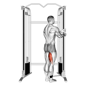 Best Cable Hamstring Workouts Cable Standing Leg Curl