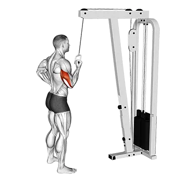 Cable Standing One Arm Triceps Extension