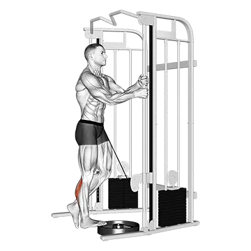 Cable Standing One Leg Calf Raise