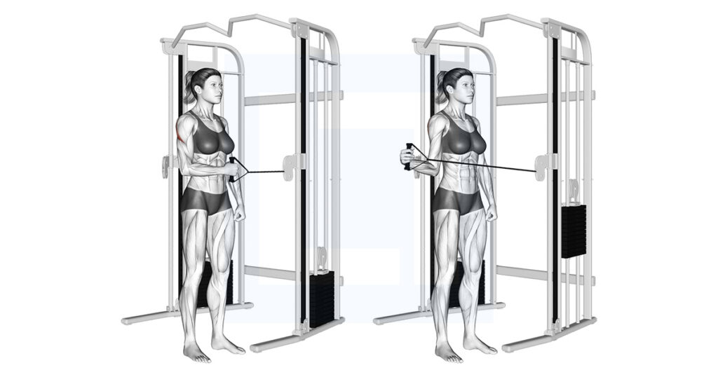 Cable Standing Shoulder External Rotation Rotator Cuff Cable Standing Shoulder External Rotation Rotator Cuff