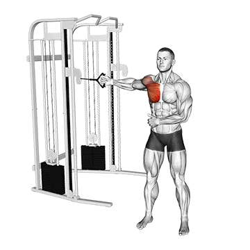 Cable Standing Single Arm Fly