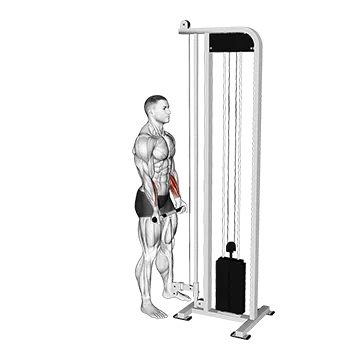 Best Cable Forearm Workouts Cable Standing Wrist Curl