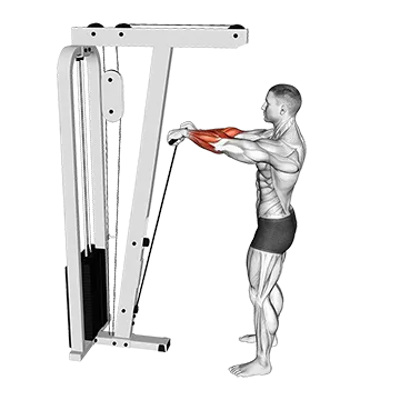 Cable Standing Wrist Roll