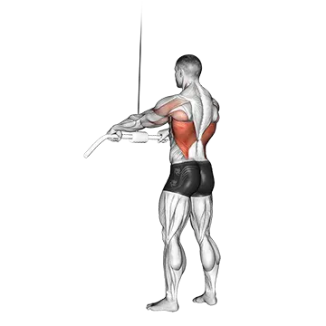 Best Cable Lat Workouts Cable Straight Arm Pulldown