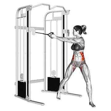 Best Cable Oblique Workouts Cable Twist Ii