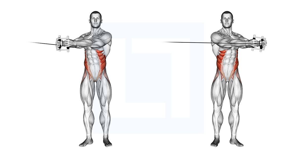 Medicine Ball Rotational Throw Guide Benefits And Form