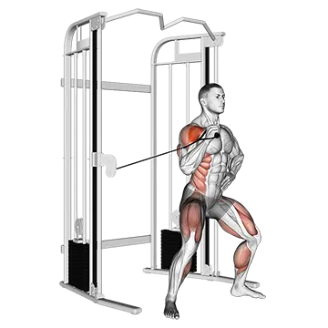Best Cable Oblique Workouts Cable Twisting Overhead Press