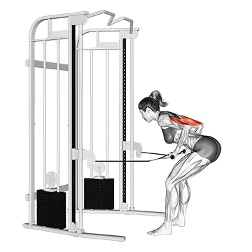 Cable Two Arm Tricep Kickback