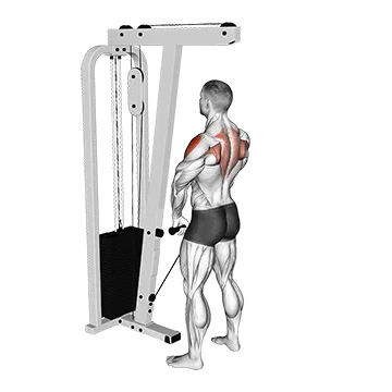 Best Cable Shoulder Workouts Cable Upright Row