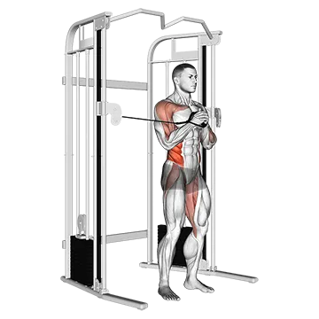 Best Cable Core Workouts Cable Vertical Pallof Press