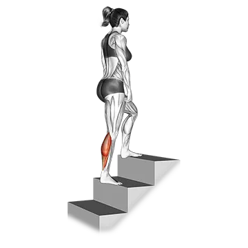How To Grow Your Calves Calves Stretch