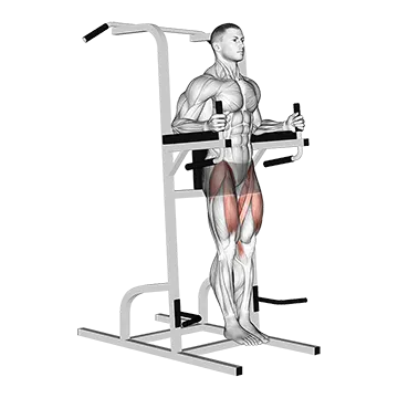 Best Obliques Exercises Captains Chair Leg Raise