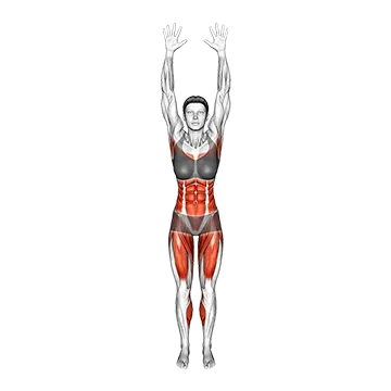 Best Bodyweight Hip Flexor Workouts Celebratory Knee Drives