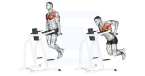 Chest Dip: Forward-Lean Parallel Bar Dip
