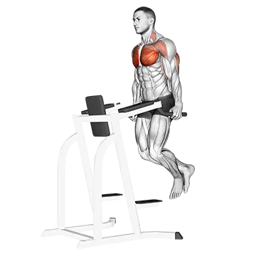 Best At Home Chest Workouts Chest Dip