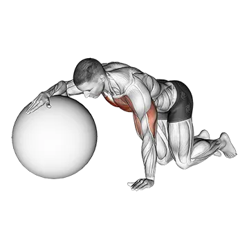 Best Stability Ball Workouts Chest Stretch With Exercise Ball