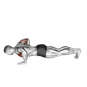 Best At Home Chest Workouts Chest Tap PushUp