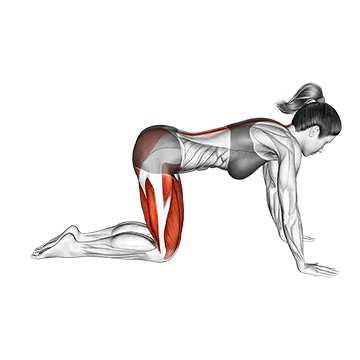 Best Yoga Poses For Beginners Child Pose