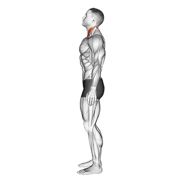 How To Fix Forward Head Posture Chin Tuck