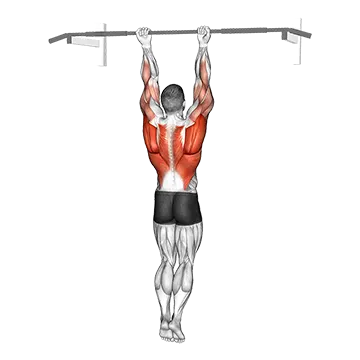 Chin Up Around the Bar