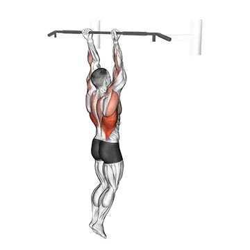 How To Build A Bigger Back Chin Up