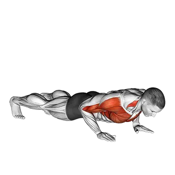 How To Do A Push Up Properly Clap Push Up