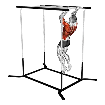 Best Bodyweight Forearm Workouts Climbing Monkey Bars