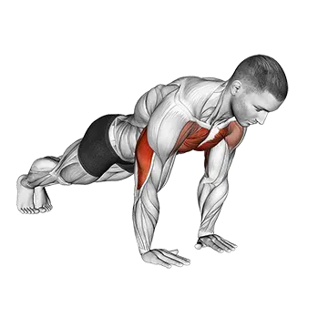 Difference Between Push Up And Bench Press Close Grip Push Up