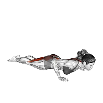 Best Yoga Poses For Beginners Cobra Yoga Pose