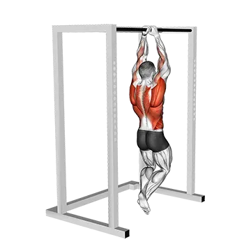 Best Pull Up Bar Workouts Commando Pull Up