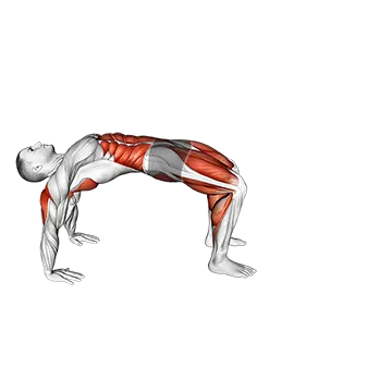 Best Bodyweight Shoulder Workouts Crab Walk