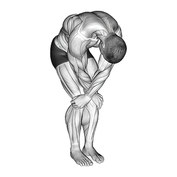 Best Shoulder Mobility Exercises Cross Over Shoulder Stretch