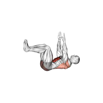 Best Dead Bug Ab Workouts Dead Bug