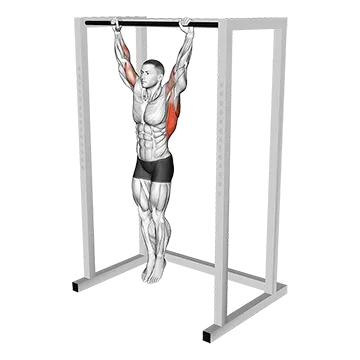 Best Workouts For Diving Dead Hang Stretch