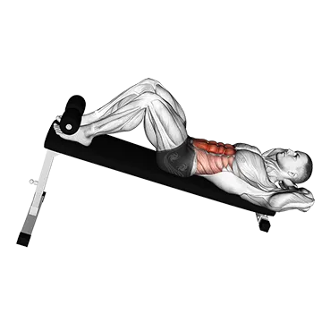 Best Rectus Abdominis Exercises Decline Crunch