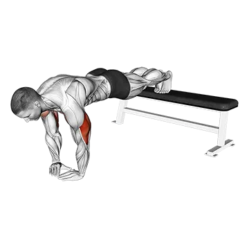 How To Do A PushUp Properly Decline Diamond PushUp