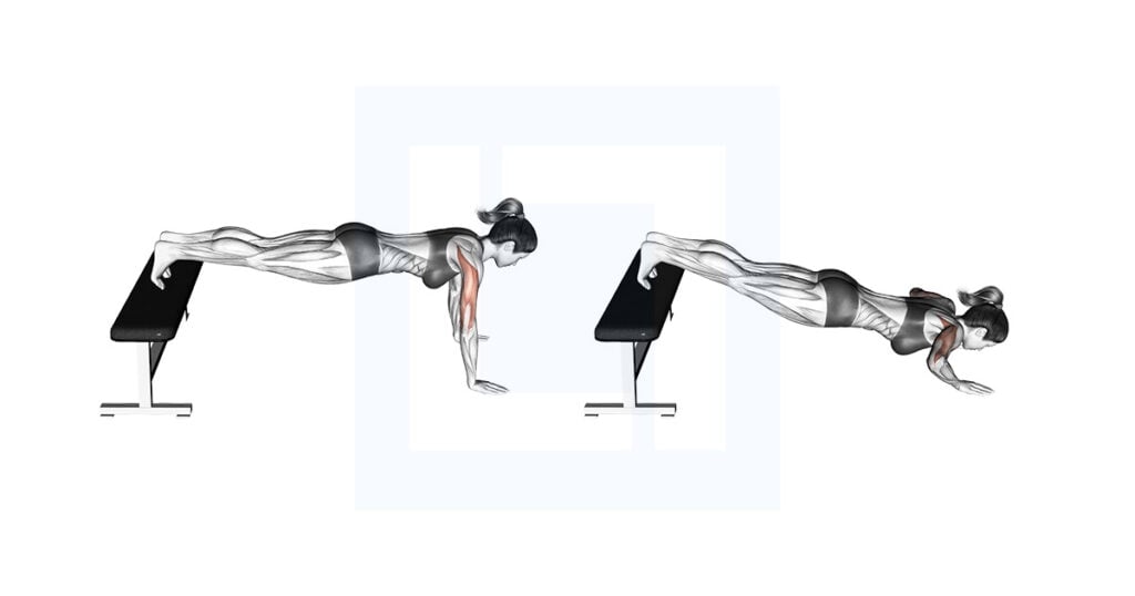 Finger push up guide benefits and form