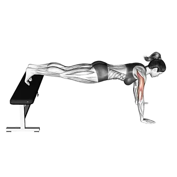 How To Do A Push Up Properly Decline Push Up