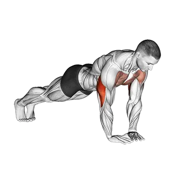Difference Between Push Up And Bench Press Diamond Push Up
