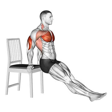 Dip on Floor With Chair