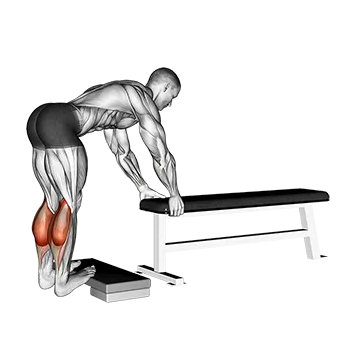 How To Grow Your Calves Donkey Calf Raise
