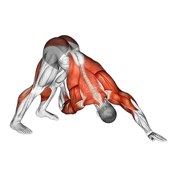 Downward Facing Dog Spine Mobility