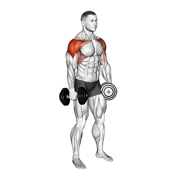 Dumbbell 4 Ways Lateral Raise